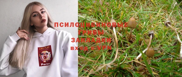 a pvp Алзамай