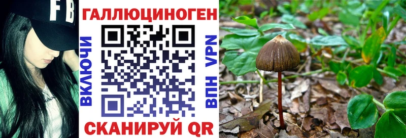купить наркотики сайты  Грайворон  Галлюциногенные грибы мицелий 