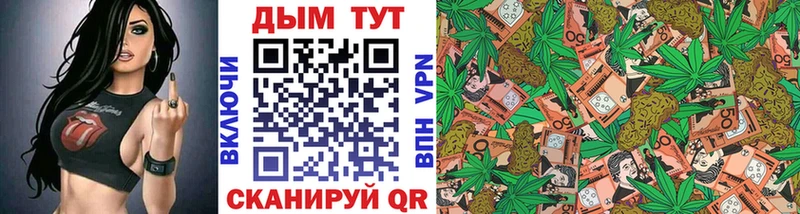 Шишки марихуана сатива  купить наркотики сайты  Грайворон 